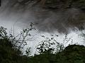 AUS30052009 (93)